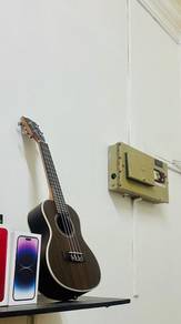 ukulele 24inch concept