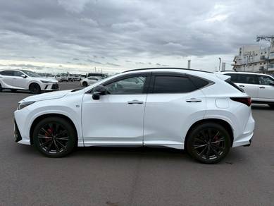 Lexus NX 350 F SPORT in Klang, SGR