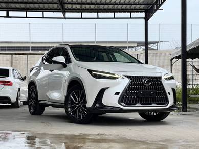 2023 Lexus NX 250 LUXURY