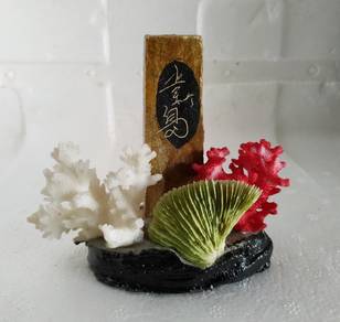 Coral Ornaments