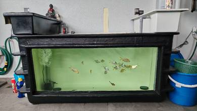 Fiber Fish Tank