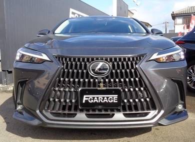 2023 Lexus NX 250 LUXURY