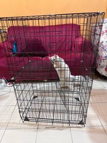 Sangkar Cage Kucing Cat