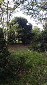 Agricultural Land in Mantin, NSN