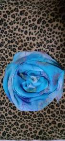 Salvatore Ferragamo Shawl/Scarf