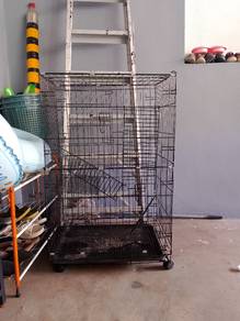 sangkar kucing untuk dilepaskan