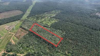 Agricultural Land in Port Dickson, NSN