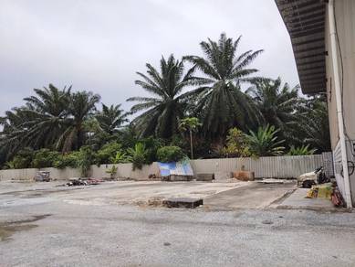 Others For Rent in Banting,SGR