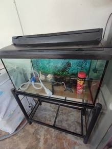 Fish Aquarium 