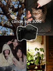 canon 300d