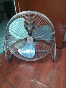 fan