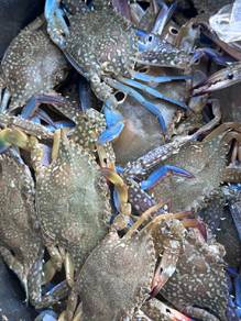 Delivery Ketam bunga 