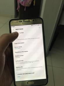 Samsung Silver 64GB