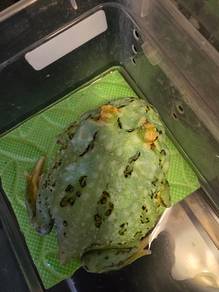 pacman
