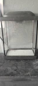 [BEET BUY] Aquarium ikan lagak