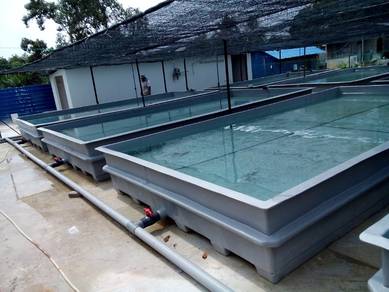 Fish tank ( offer )