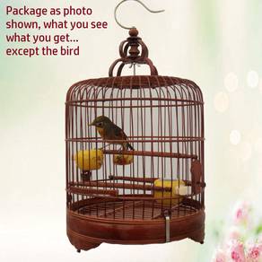 10" Bamboo Bird Cage Sangkar Burung Full Package