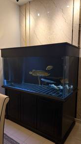 Aquarium 5ft x 2.5ft x 2.5ft 12mm glass
