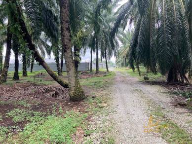 Agricultural Land in Klang, SGR