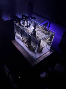 akuarium / aquarium full set