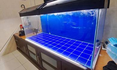 Akuarium Ikan 4 Feet Untuk Dijual