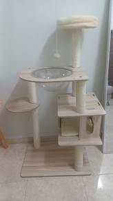 Cat Dream House