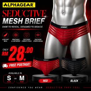Alphagear Seductive Sheer Mesh Brief Underwear 