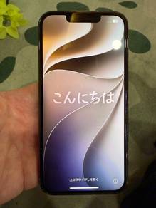 iPhone 13 Pro 256GB