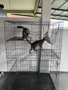 New XXL Cat Cage, Sangkar kucing besar