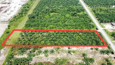 Agricultural Land in Tanjong Duabelas, SGR