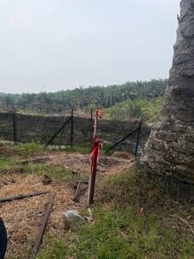 Others Land in Selama, PRK