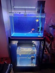aquarium tank all lump sump