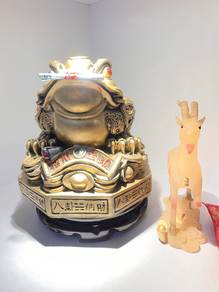Frog Fortune