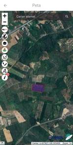 Agricultural Land in Others, PLS
