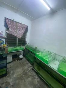 akuarium