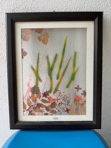 Framed botanic Art