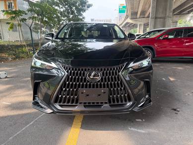 2024 Lexus NX 250 LUXURY