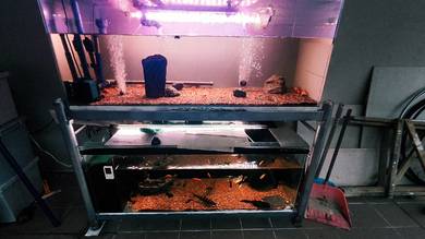 Aquarium 4ft fullset
