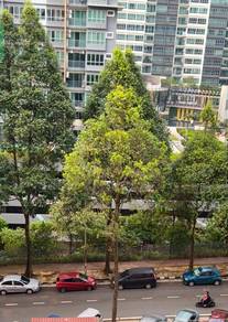 Service Residence For Rent in The Zizz @ Damansara North