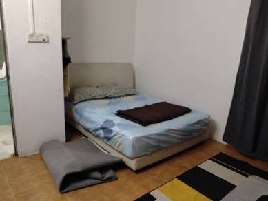 Homestay Alor setar