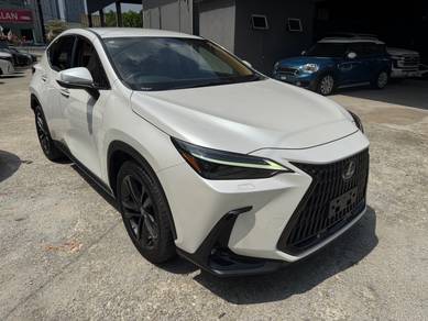 Lexus NX 250 LUXURY in Puchong, SGR