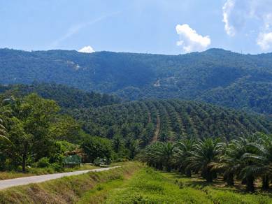 Agricultural Land in Yan, KDH