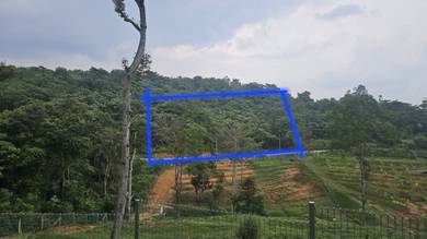 Agricultural Land in Rembau, NSN