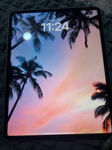 Ipad Pro 12.9 4th Gen