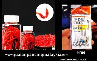 Malaysia ulat killer with bau cacing lure