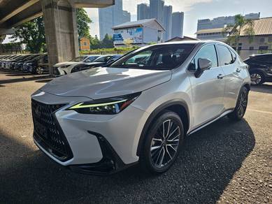 2023 Lexus NX 250 LUXURY