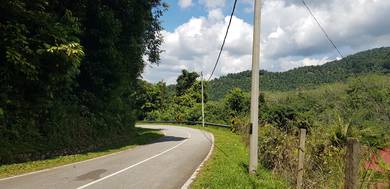 Agricultural Land in Batu Kikir, NSN