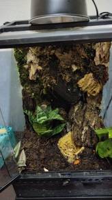 terarium