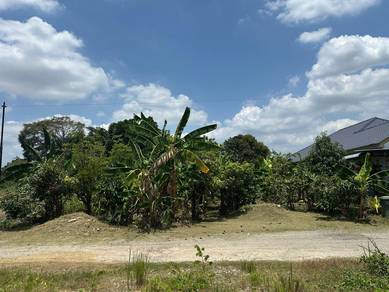 Agricultural Land in Shah Alam, SGR