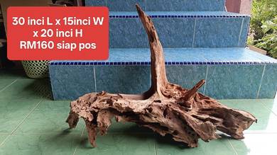 Driftwood hiasan body besar berat solid padu